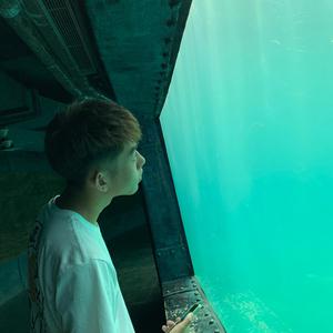 日逼逼视频网站
